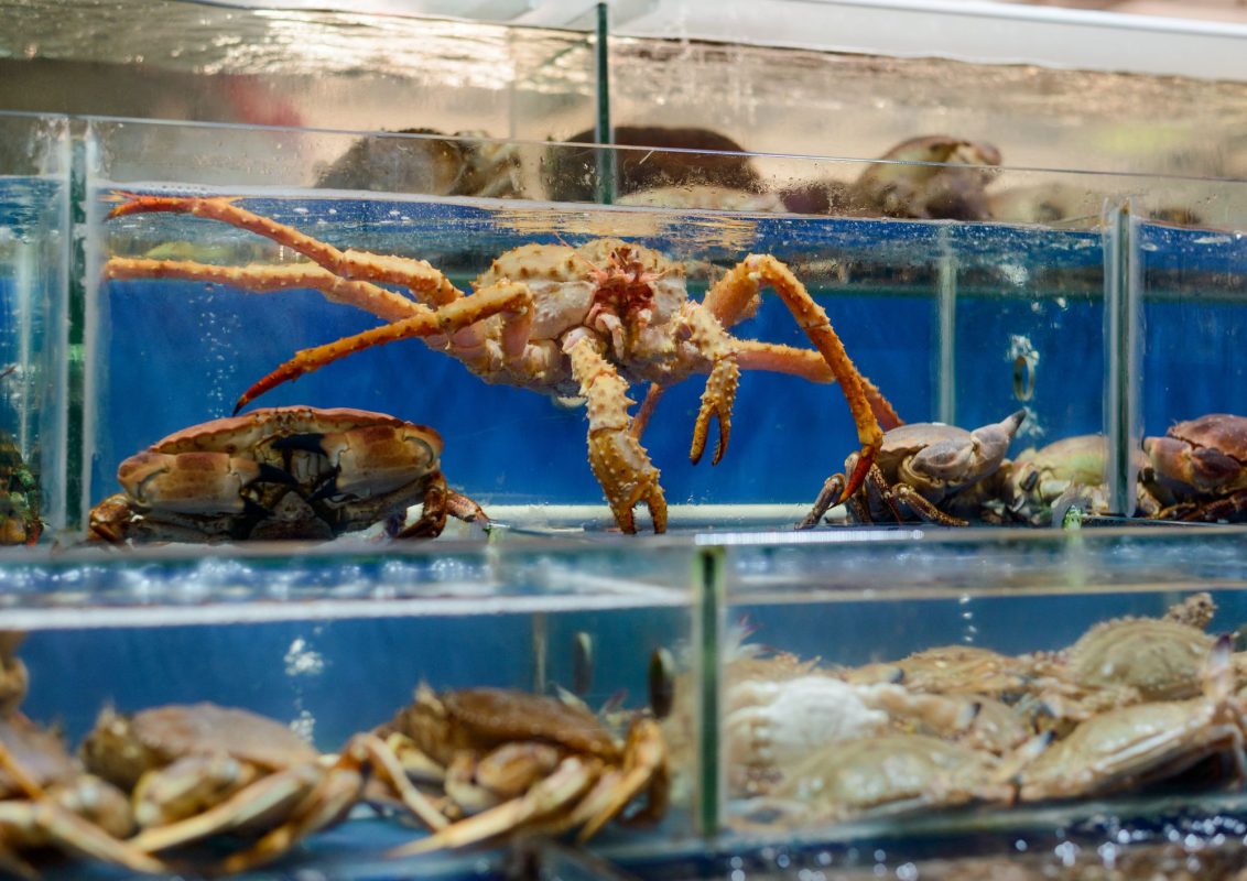 How to Pick Live Crabs at Your Local Market