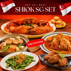 NDP Set Meal Shiok SG Set
