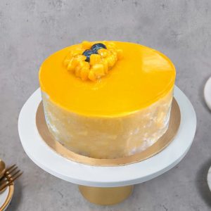 Mango Mousse Cake 3