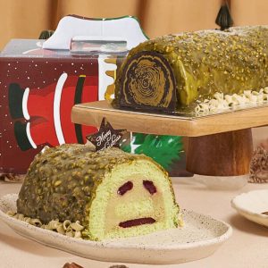 Pistachio Raspberry Log Cake 3